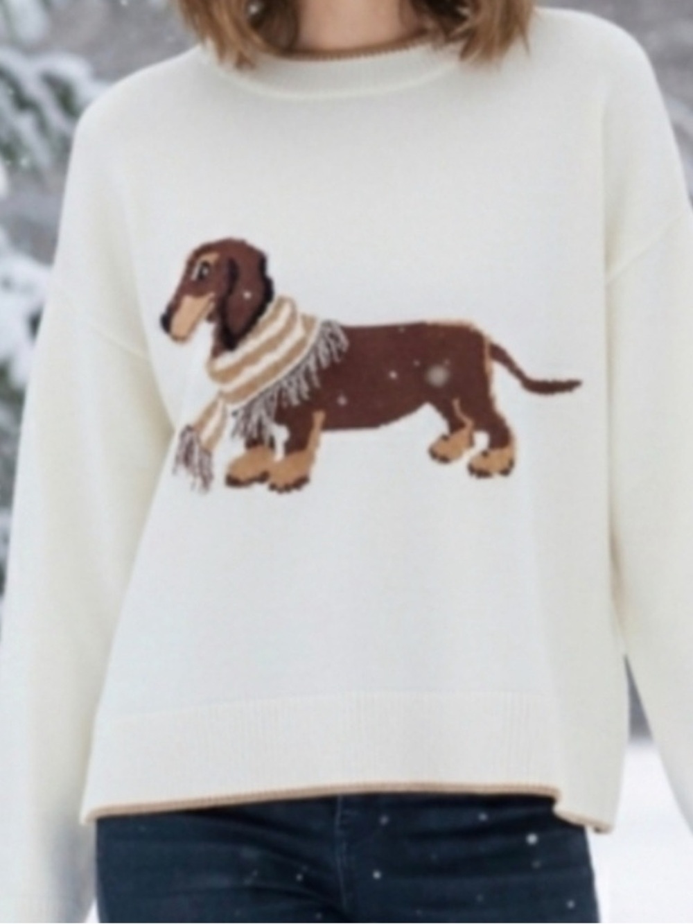 Calligraphie Dog Sweater Crewneck Dachshund 🐕 Puppy Knit Fringe Weenie Canine